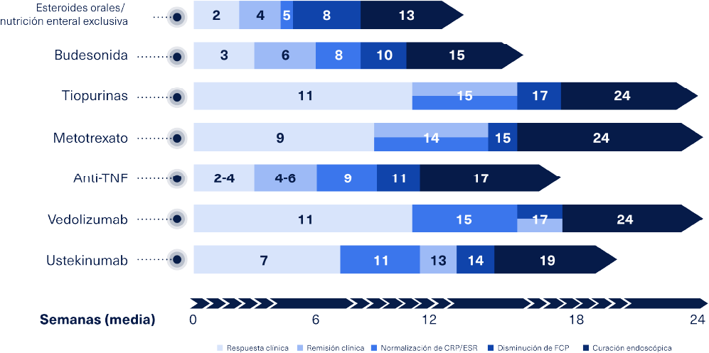 Body-Stride media de semanas